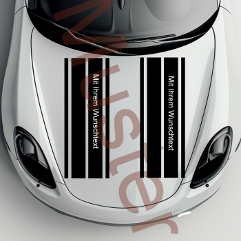 Racing stripes bumper sticker